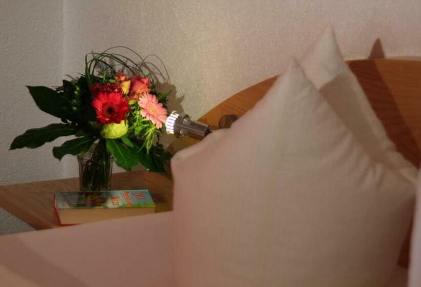 Номер Стандарт, Dr'berghof