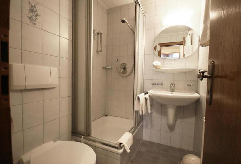 غرفة قياسية فردية, Alpensonne