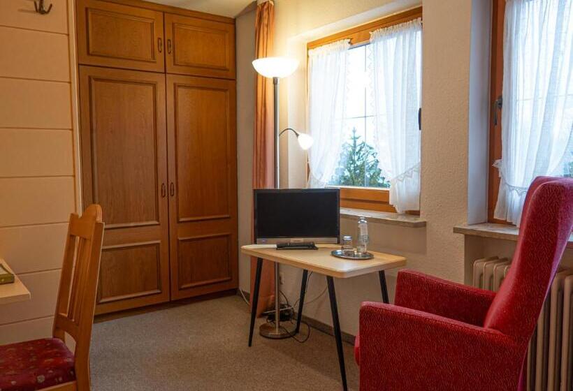 غرفة قياسية فردية, Alpensonne