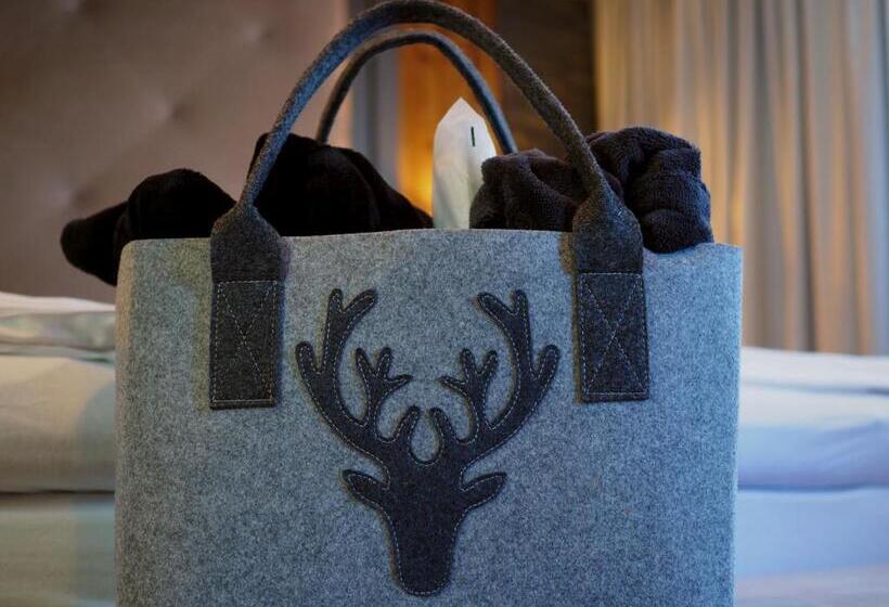 اتاق راحتی, Boutique Hotel Die Mittagspitze Superior