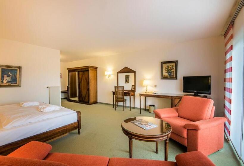اتاق لوکس, Hôtel Eden Au Lac