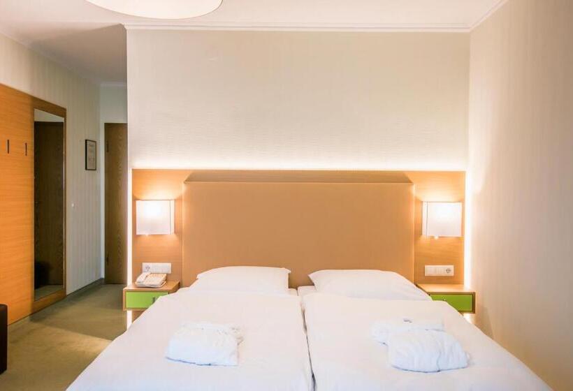 اتاق استاندارد, Hôtel Eden Au Lac