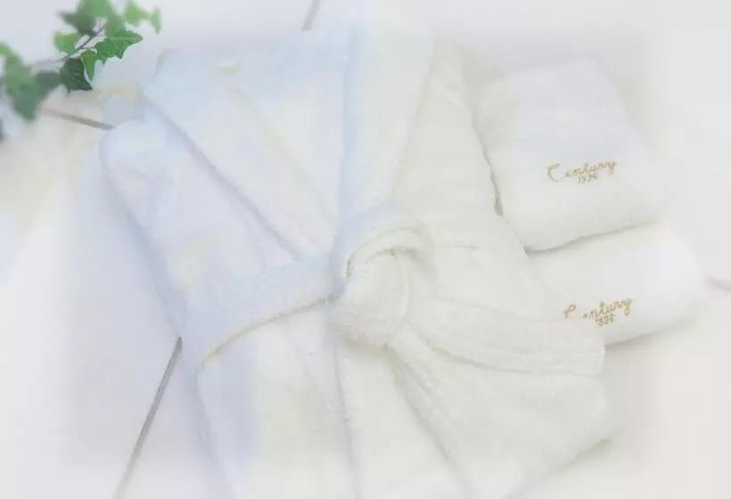 デラックスルーム, Odakyu Hotel Century Sagami Ono