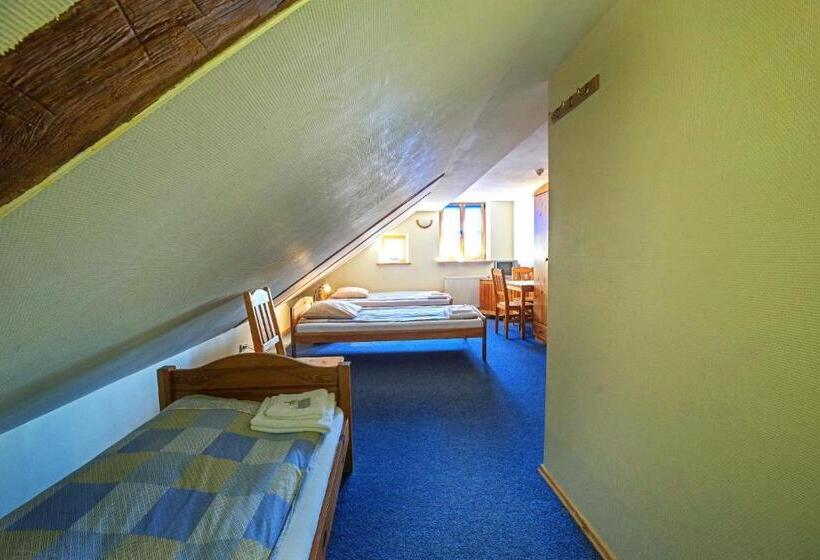 اتاق استاندارد سه تخته با سرویس بهداشتی مشترک, Express Guest House