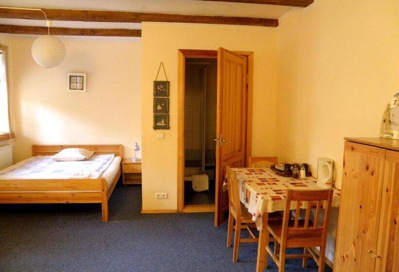 اتاق استاندارد, Express Guest House