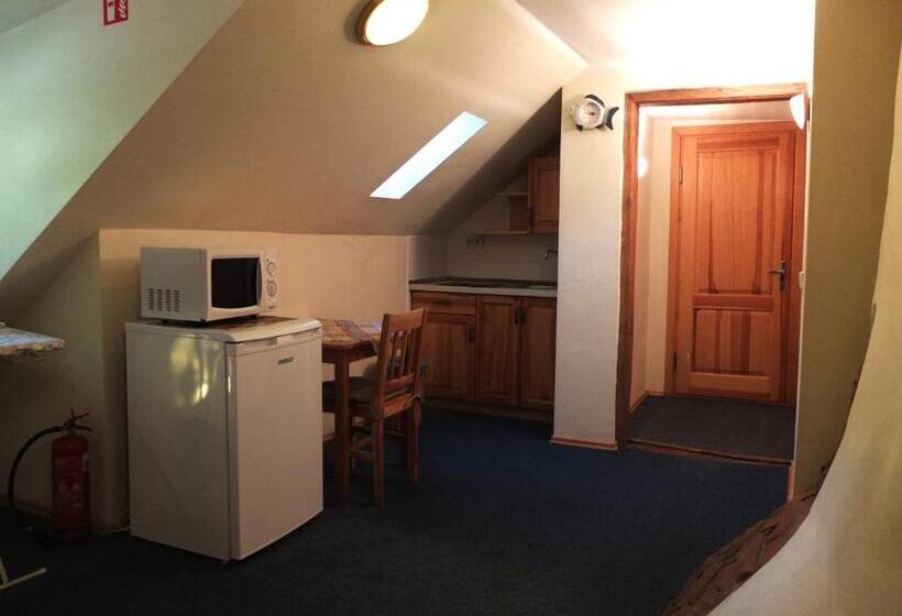 اتاق استاندارد با سرویس بهداشتی مشترک, Express Guest House