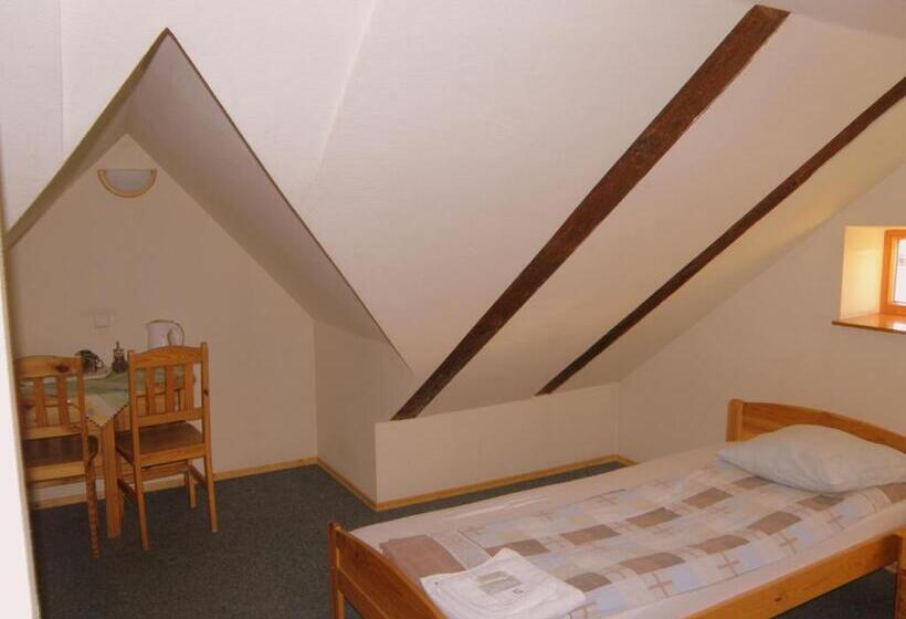 اتاق استاندارد با سرویس بهداشتی مشترک, Express Guest House