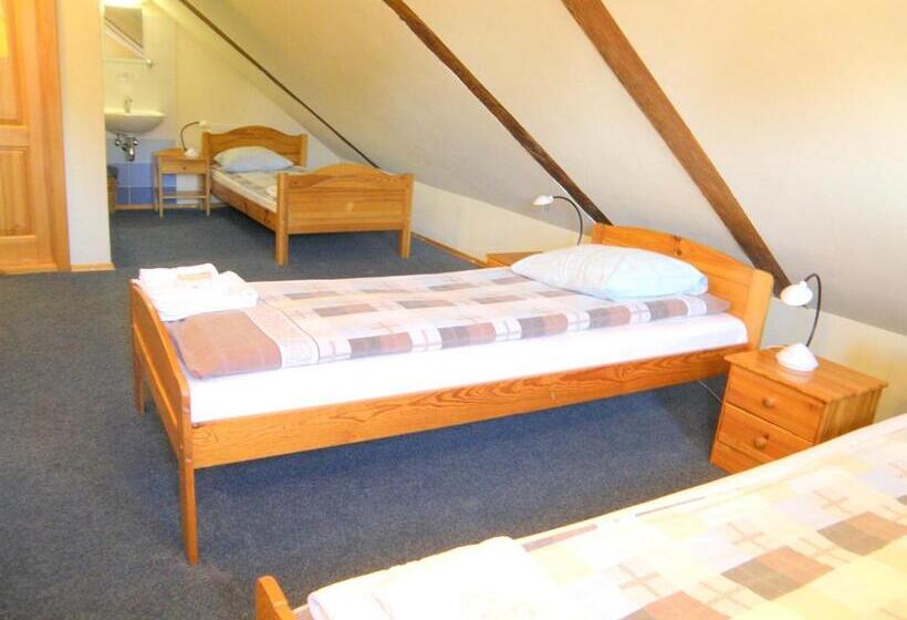 اتاق استاندارد سه تخته با سرویس بهداشتی مشترک, Express Guest House