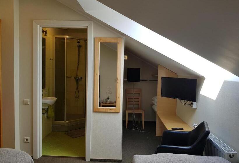 اتاق اکونومی, Spa Hotel Ezeri