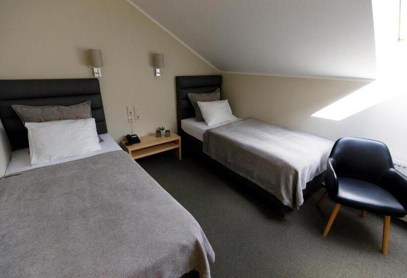 اتاق اکونومی, Spa Hotel Ezeri