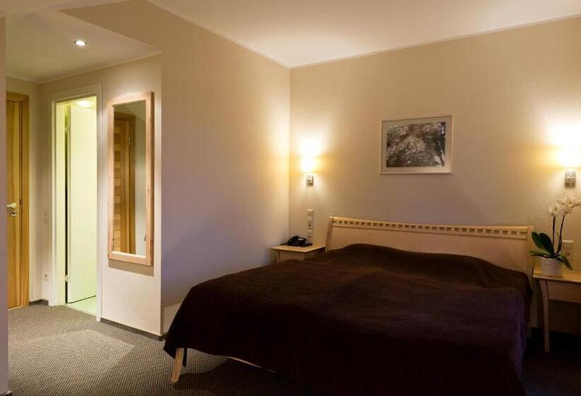 اتاق استاندارد, Spa Hotel Ezeri