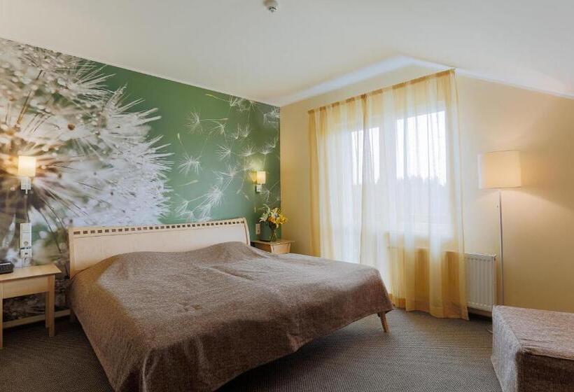 اتاق استاندارد, Spa Hotel Ezeri