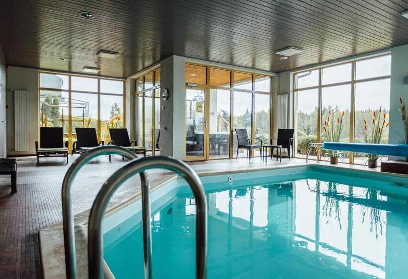 اتاق استاندارد, Spa Hotel Ezeri