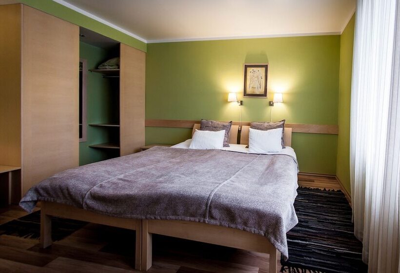 اتاق استاندارد, Spa Hotel Ezeri