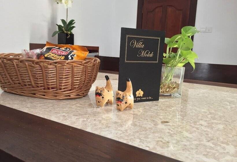 ビラホテル1ベッドルーム, Villa Molek