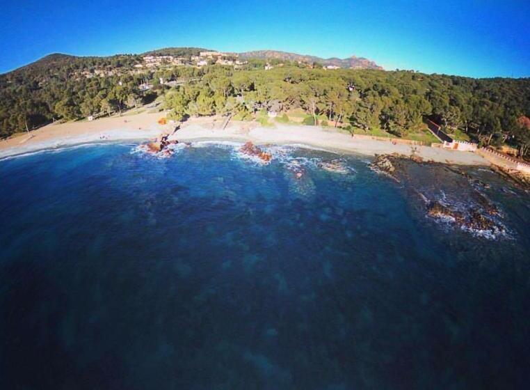 Четырехместный Номер Стандарт, Auberge Provençale