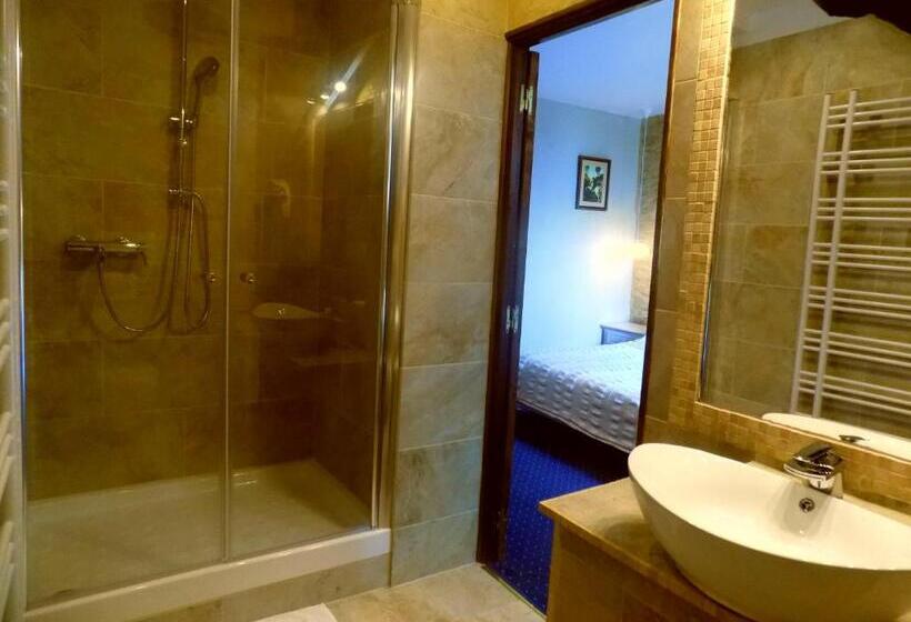 חדר סופריור, Domaine De Vareilles