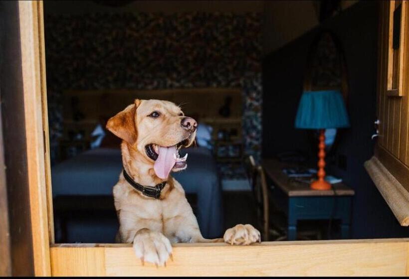 غرفة سوبيريور, The Farmhouse At Redcoats