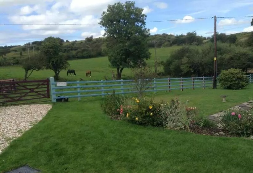 スタンダードバンガロー, Glan Llyn Farm House
