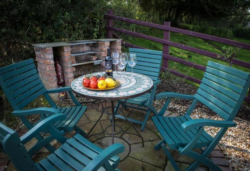 스탠다드 방갈로, Glan Llyn Farm House