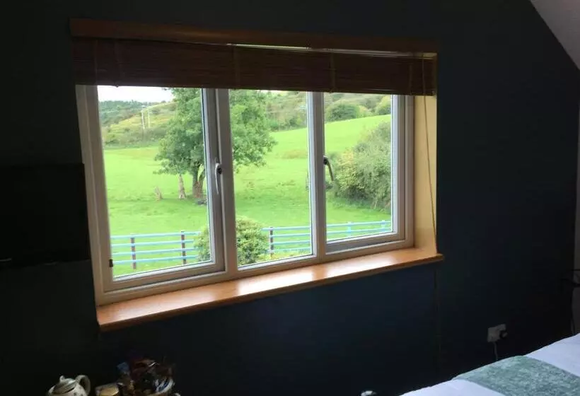 スタンダードルーム, Glan Llyn Farm House