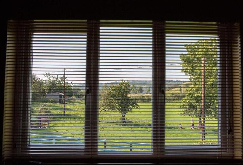 Номер Стандарт, Glan Llyn Farm House