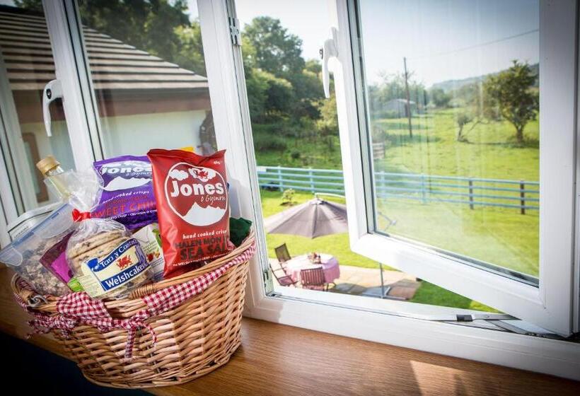 스탠다드 룸, Glan Llyn Farm House