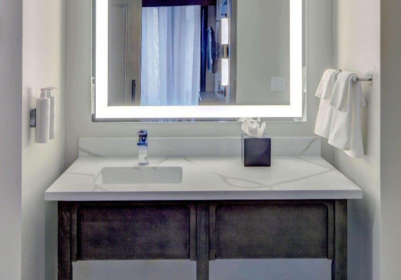 Студио Стандарт Кровать Кинг, Embassy Suites By Hilton Virginia Beach Oceanfront Resort