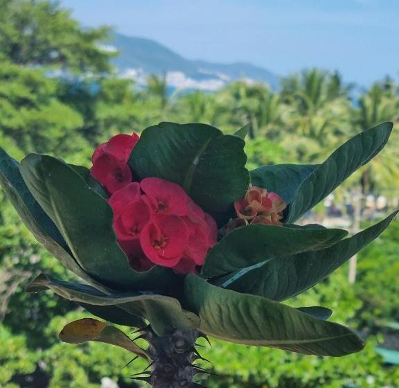 اتاق لوکس با بالکن و چشمانداز دریا, Phố Biển