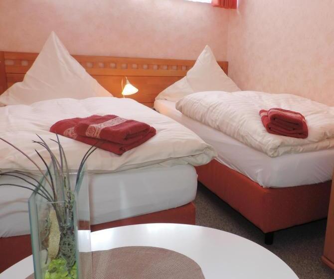 Номер Стандарт, Pension Anjo