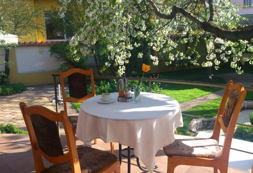 带按摩功能的小型套房, Family Hotel Sonata