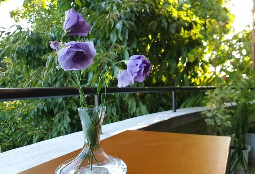 带按摩功能的小型套房, Family Hotel Sonata