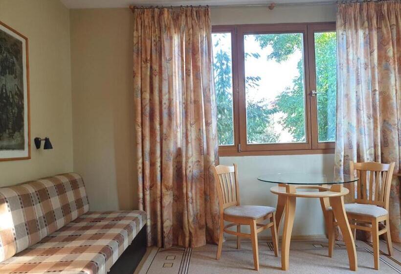 带按摩功能的小型套房, Family Hotel Sonata