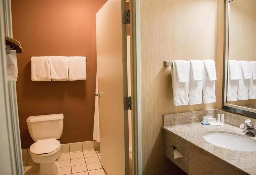 اتاق استاندارد با تخت بزرگ, Fairfield Inn St. George