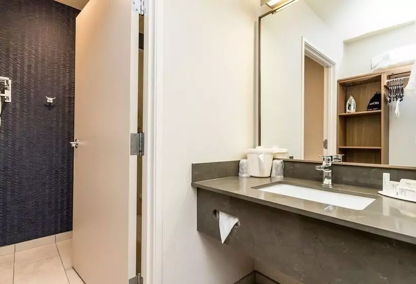 اتاق استاندارد با 2 تخت دوبل, Fairfield Inn St. George