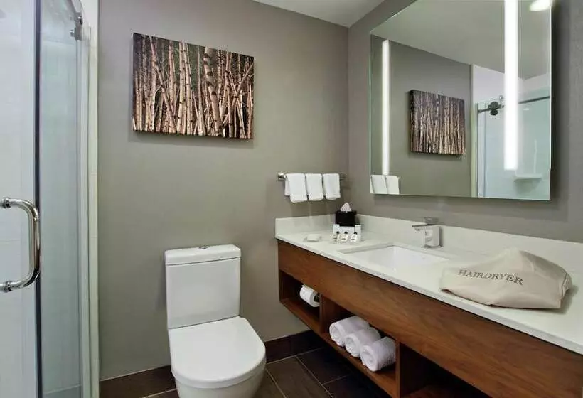 Standard-huone 2 Parivuodetta, Hilton Garden Inn New York/midtown Park Ave