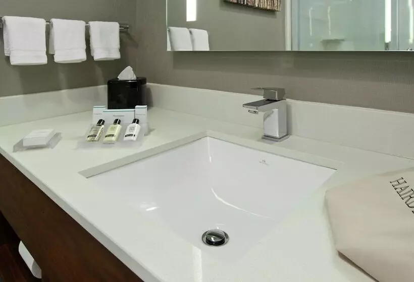 Standard-huone 2 Parivuodetta, Hilton Garden Inn New York/midtown Park Ave