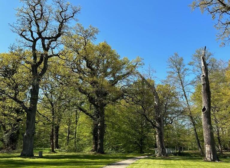 标准间, Schloss Schlemmin