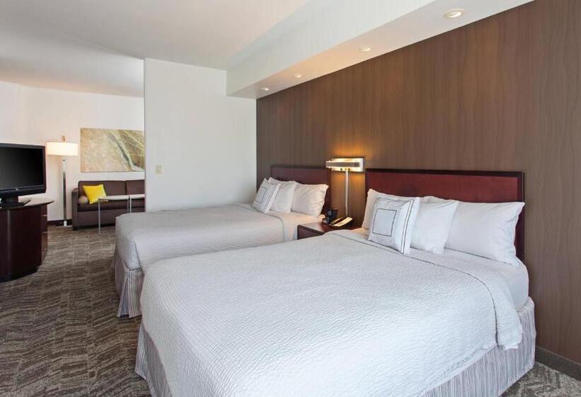 套房, Springhill Suites By Marriott El Paso