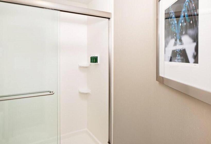 带大床的套房, Springhill Suites By Marriott El Paso