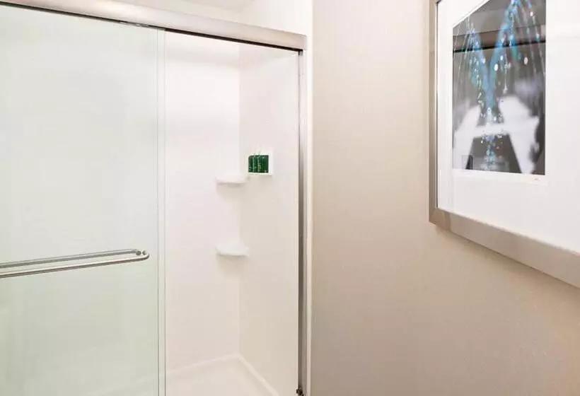 キングサイズベッドのスイートルーム, Springhill Suites By Marriott El Paso