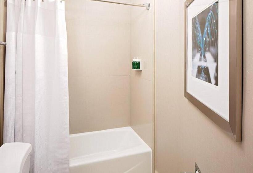 带大床的套房, Springhill Suites By Marriott El Paso