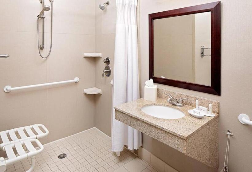 带大床的套房, Springhill Suites By Marriott El Paso