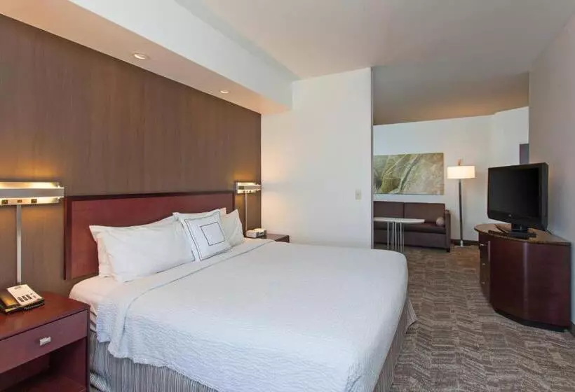 キングサイズベッドのスイートルーム, Springhill Suites By Marriott El Paso