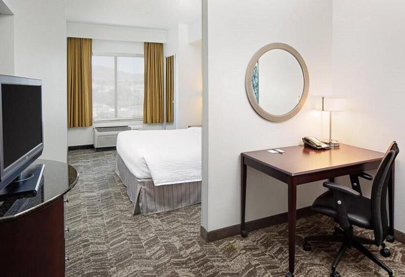 带大床的套房, Springhill Suites By Marriott El Paso