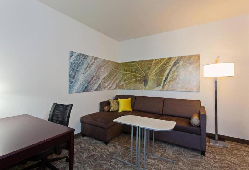 带大床的套房, Springhill Suites By Marriott El Paso