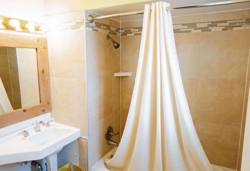 غرفة قياسية, Rodeway Inn Albuquerque Downtown On Rt 66