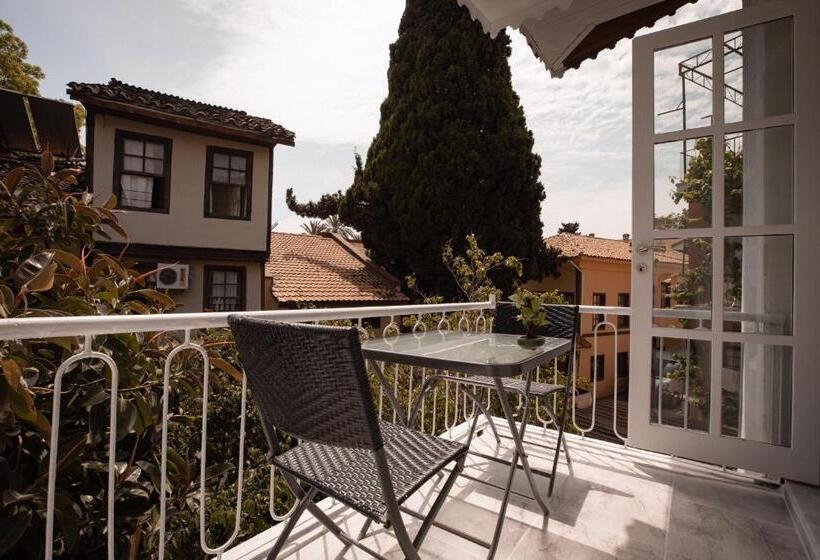 اتاق سوپریور, Atici