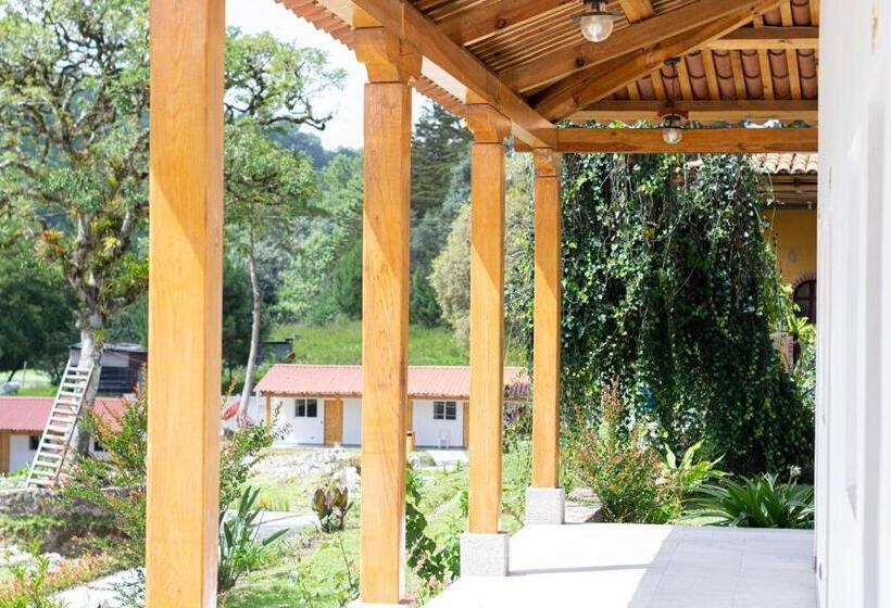 اتاق لوکس, Casa Montana