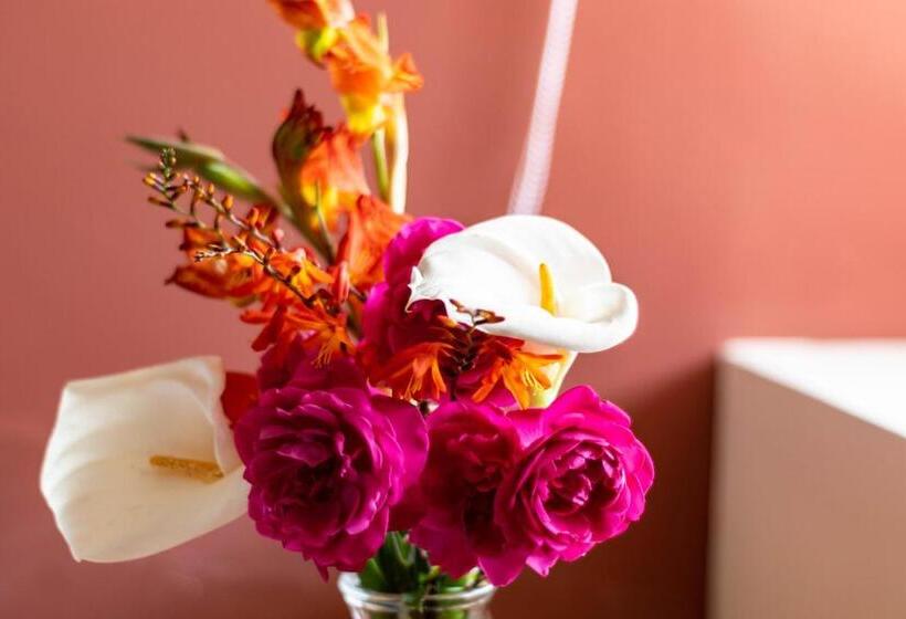 اتاق لوکس, Casa Montana